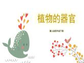 冀人版四年级下册科学7《植物的一生》课件