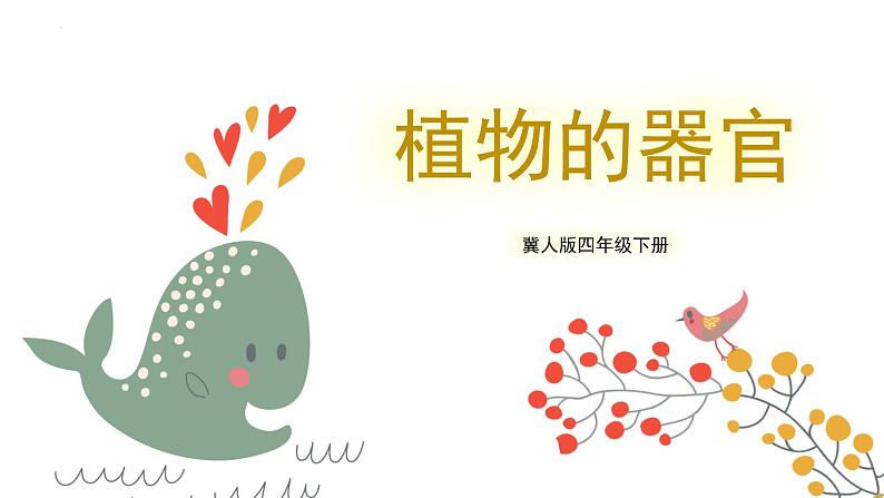 冀人版四年级下册科学7《植物的一生》课件01