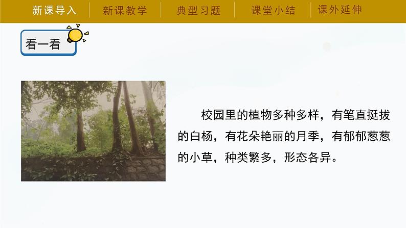 冀人版四年级下册科学7《植物的一生》课件04