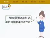 冀人版四年级下册科学7《植物的一生》课件