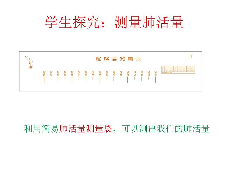 教科版四年级上册科学第三节：测量肺活量（课件）05