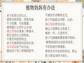 教科版四年级下册科学7.种子的传播教学课件