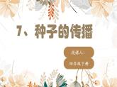 教科版四年级下册科学7.种子的传播教学课件
