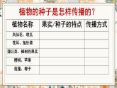 教科版四年级下册科学7.种子的传播教学课件