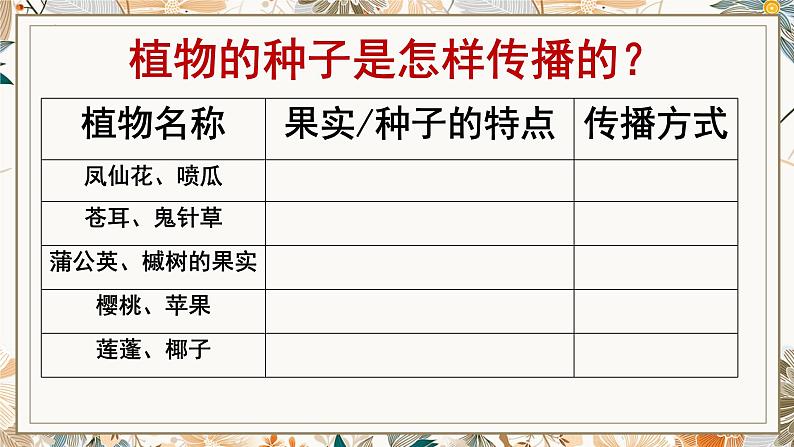 教科版四年级下册科学7.种子的传播教学课件03