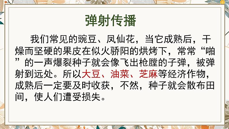 教科版四年级下册科学7.种子的传播教学课件04