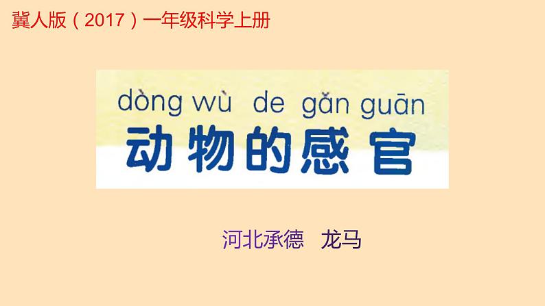 冀人版一年级上册科学10.动物的感官课件01