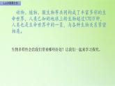 六年级上册冀人版科学17.保护生物（课件）