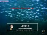 六年级上册冀人版科学17.保护生物（课件）