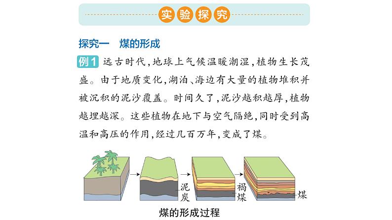 大象版六年级科学下册 第2单元实验探究(课件)02