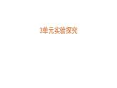 大象版六年級科學下冊 第3單元實驗探究(課件)