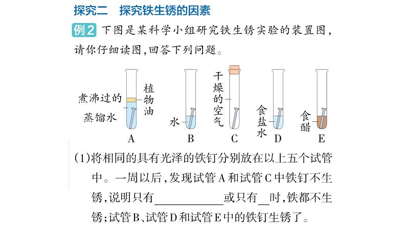 大象版六年级科学下册 第3单元实验探究(课件)05