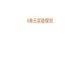 大象版六年级科学下册 第5单元实验探究(课件)
