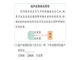 大象版六年级科学下册 第5单元实验探究(课件)