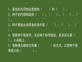 苏教版三年级科学下册复习资料课件PPT