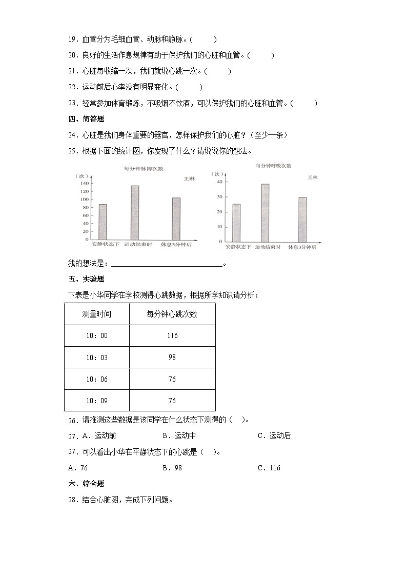 青岛版五年级科学下册 1.4心脏和血管 同步练习（含答案）02