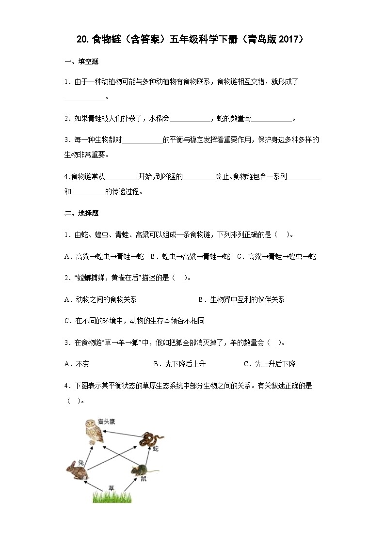 青岛版五年级科学下册 5.20食物链 同步练习（含答案）第1页
