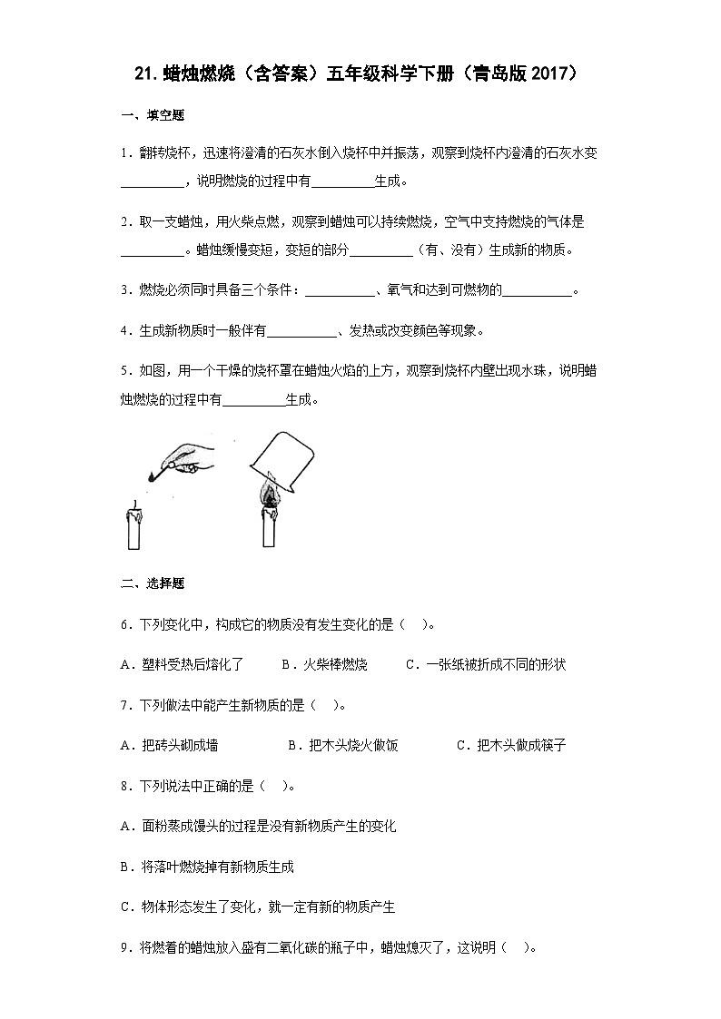 青岛版五年级科学下册 6.21 蜡烛燃烧  同步练习（含答案）01