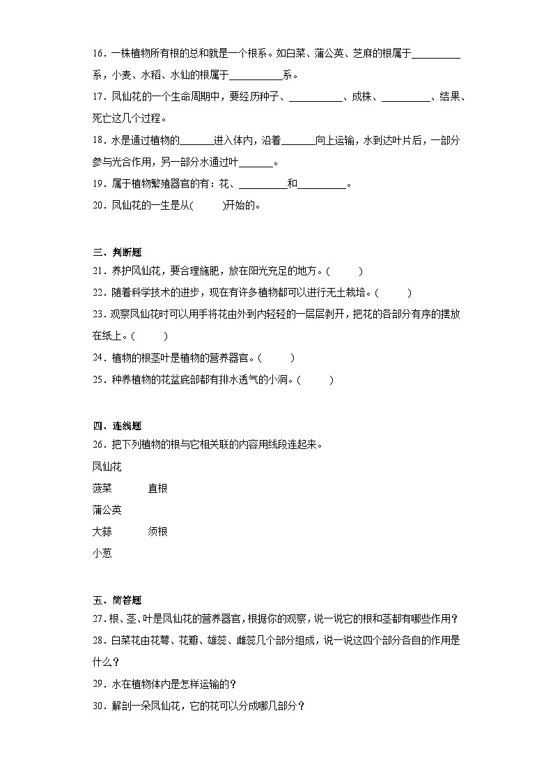 人教鄂教版三年级下册科学第二单元《种凤仙花》训练题含答案02