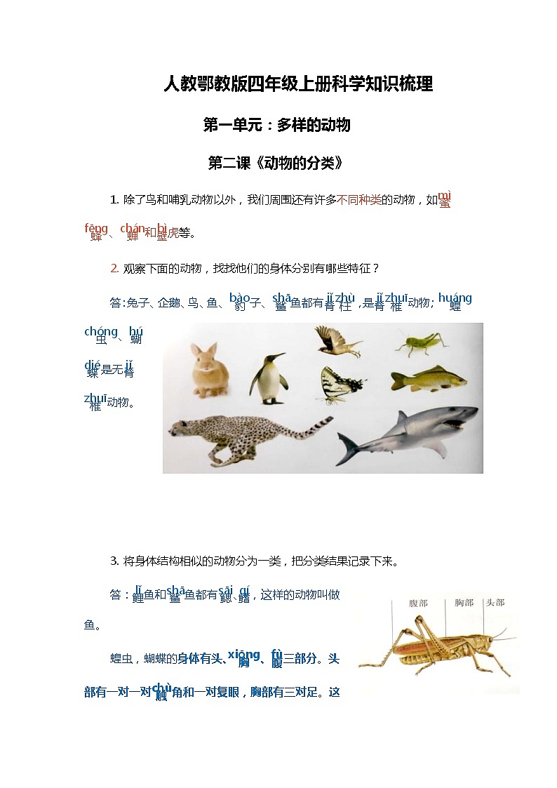 人教鄂教版四年级上册科学 2.《动物的分类》知识梳理01