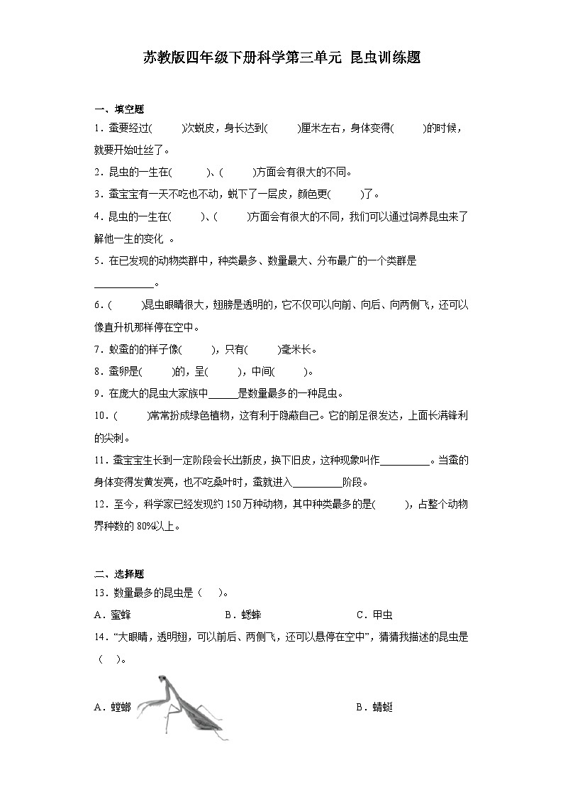 苏教版四年级下册科学第三单元昆虫训练题（含答案）01