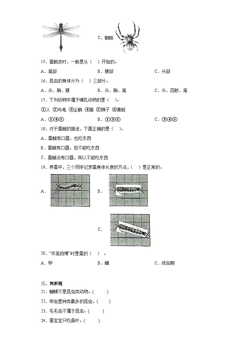 苏教版四年级下册科学第三单元昆虫训练题（含答案）02
