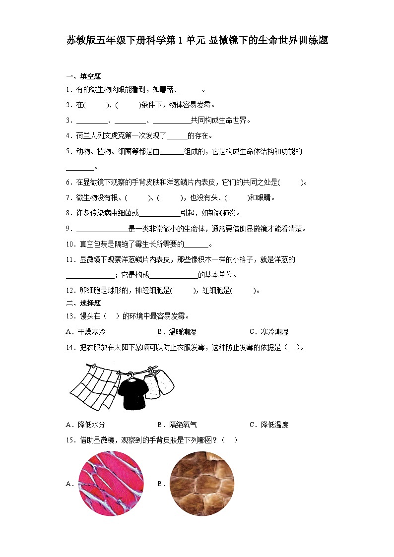 苏教版五年级下册科学第一单元 显微镜下的生命世界 训练题（含答案）01