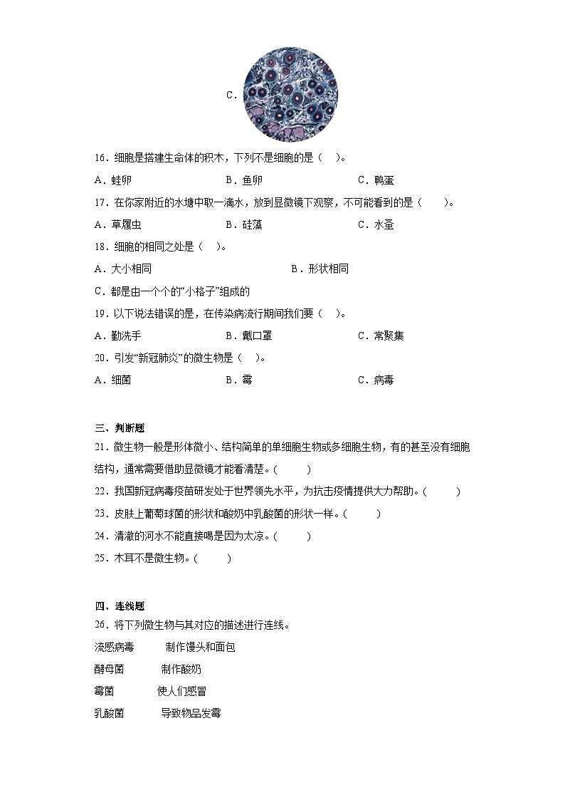 苏教版五年级下册科学第一单元 显微镜下的生命世界 训练题（含答案）02