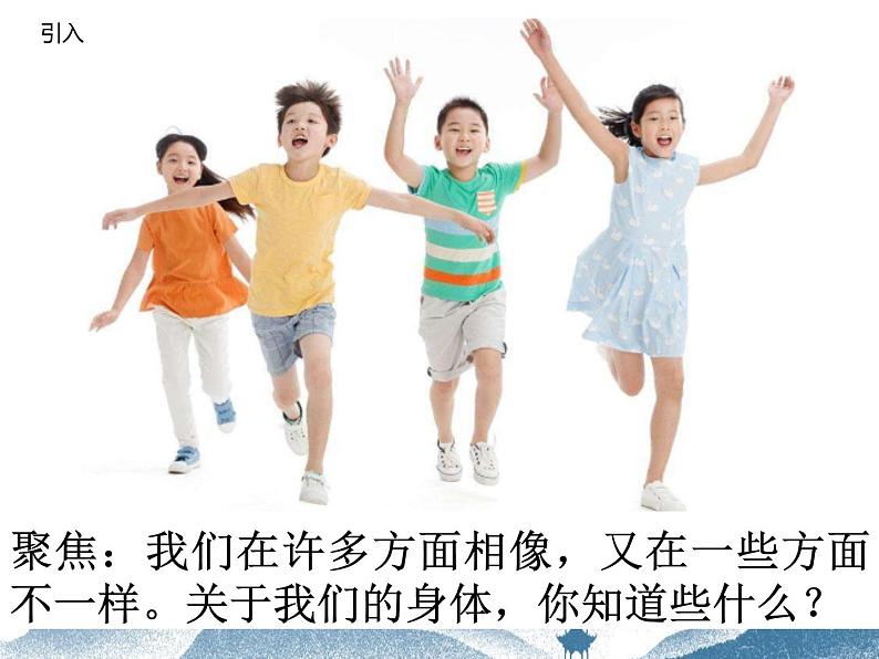 《1.观察我们的身体》课件03