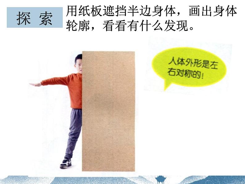 《1.观察我们的身体》课件05