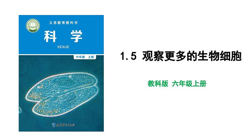 1.5 观察更多的生物细胞 教科版（课件+教案+素材）01