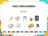 1.1《蜡烛的变化》课件+教案+素材