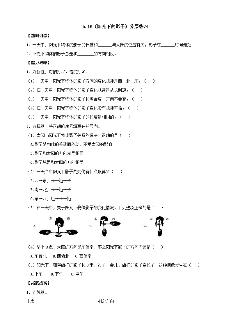 人教鄂教版四下【新课标】5.16《阳光下的影子》分层练习（含答案）01