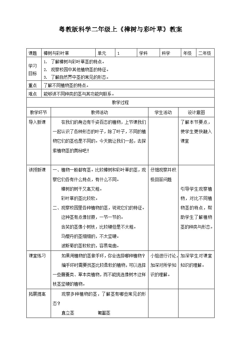【粤教粤科版】二上科学  1.2 樟树和彩叶草（课件+教案+练习）01