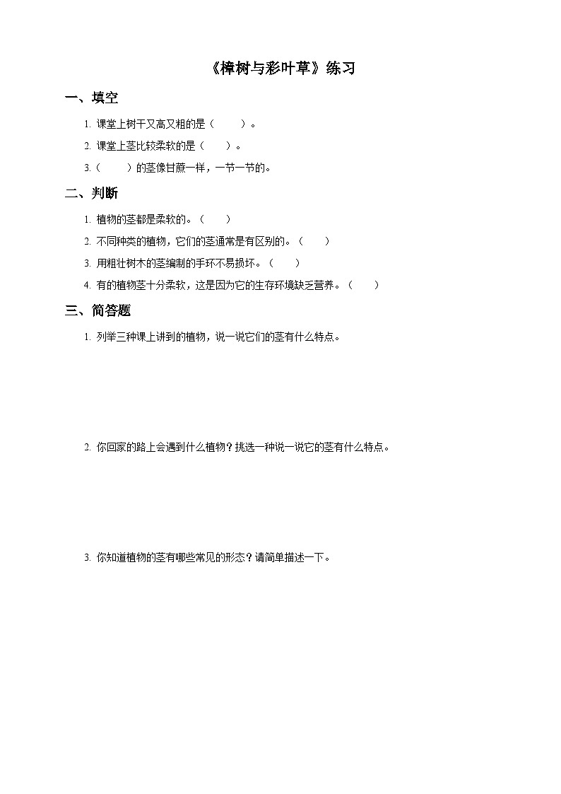 【粤教粤科版】二上科学  1.2 樟树和彩叶草（课件+教案+练习）01