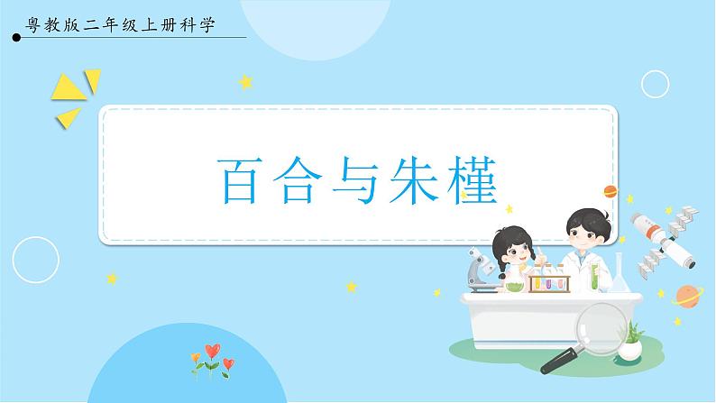 【粤教粤科版】二上科学  1.3 百合与朱槿（课件+教案+练习）01