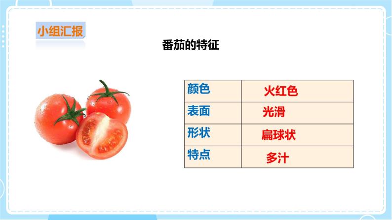 【粤教粤科版】二上科学  1.4 番茄与花生（课件+教案+练习）06