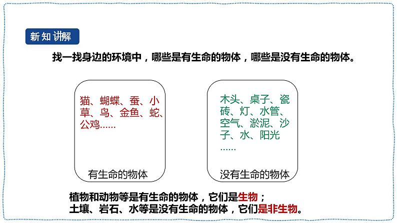 人教鄂教版四下【新课标】3.9《生物与非生物》课件PPT+教案08