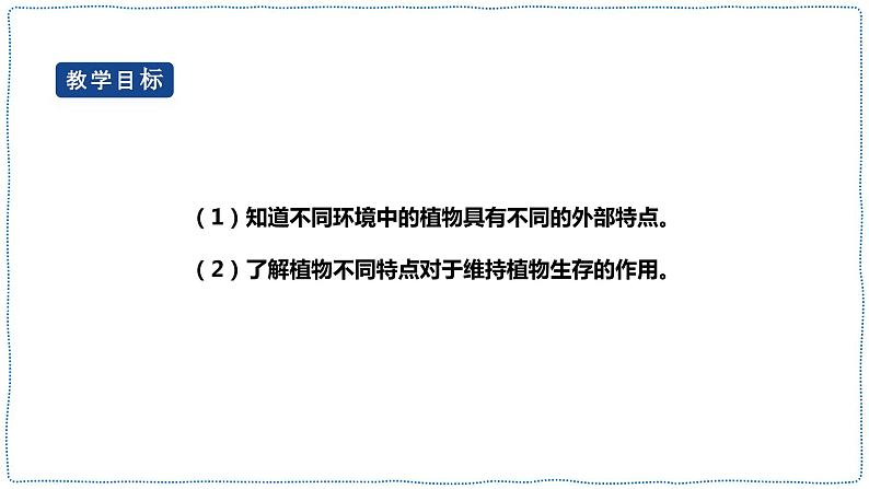 人教鄂教版四下【新课标】3.10《不同环境中的植物》课件PPT+教案02