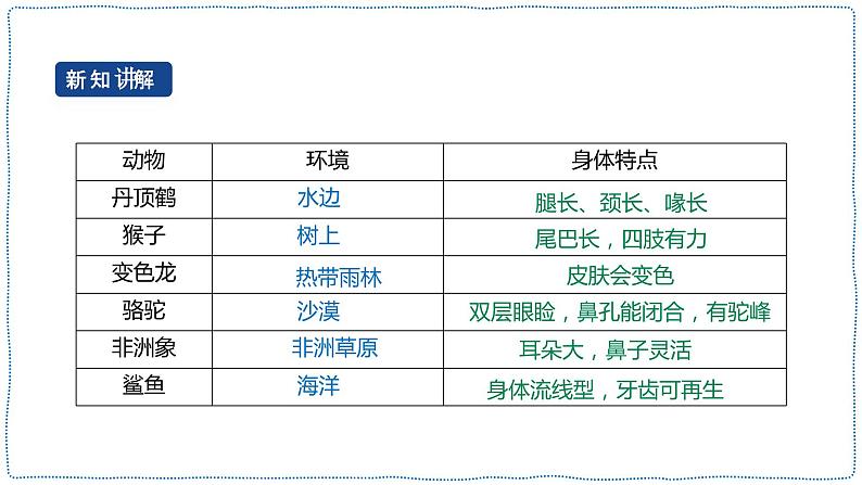 人教鄂教版四下【新课标】3.11《不同环境中的动物》课件PPT+教案05