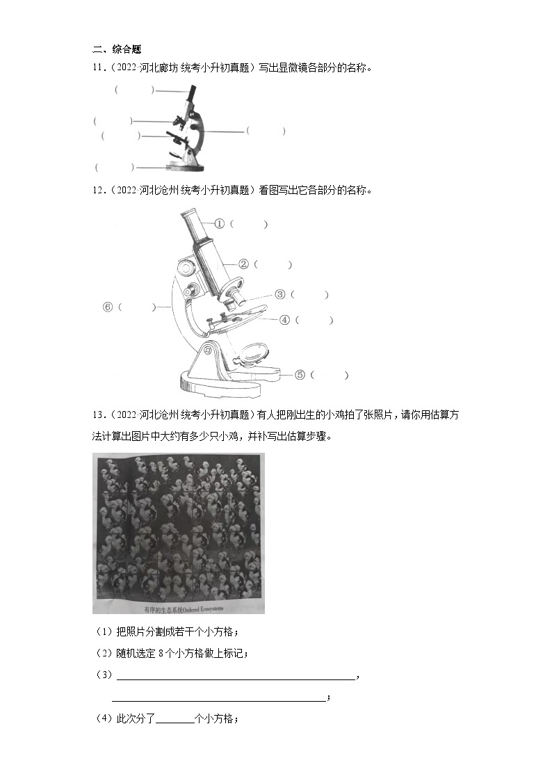 小升初知识点分类-02技术与工程（试题）⑧-六年级下册科学通用版02