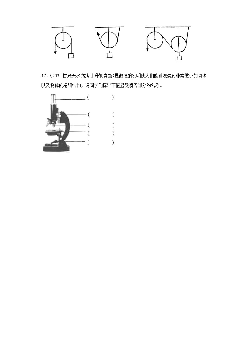 小升初知识点分类-02技术与工程（试题）⑨六年级下册科学通用版第3页