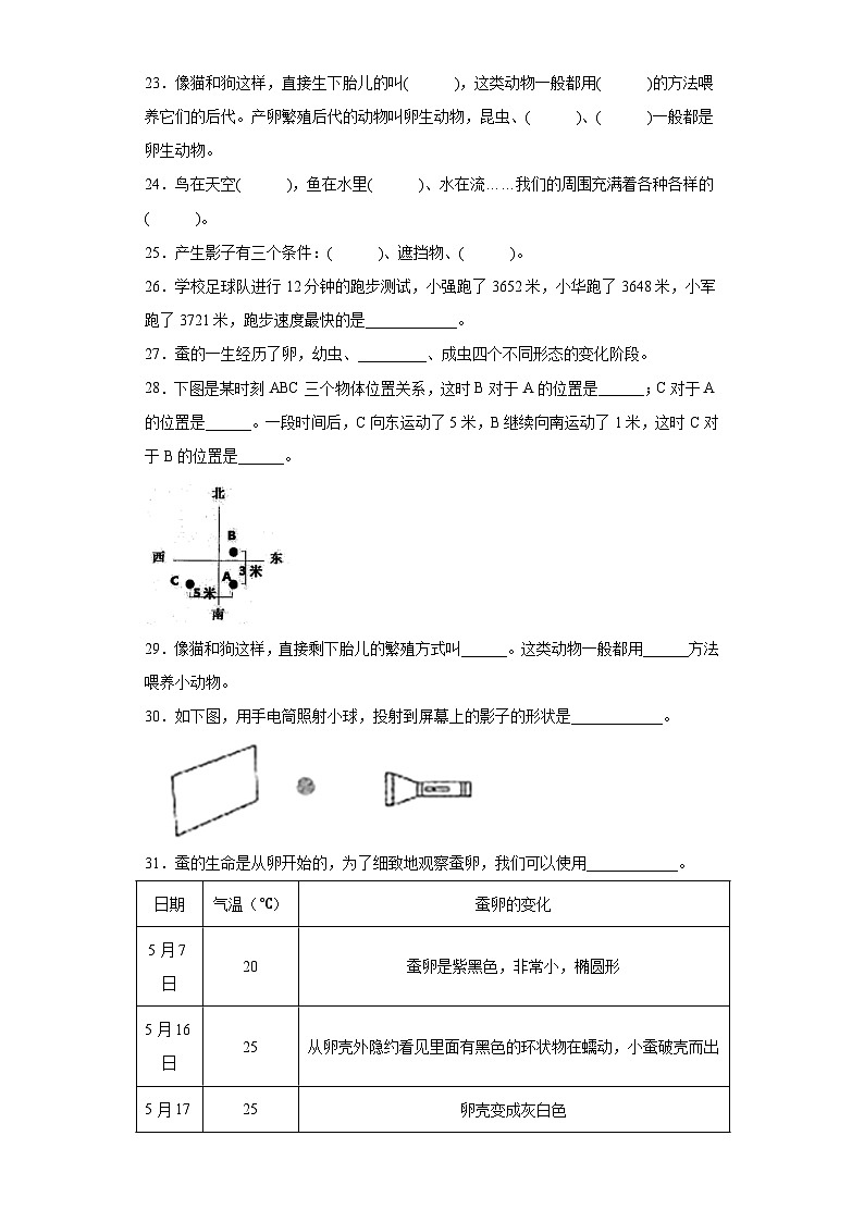 2023教科版三年级下册期末测试卷A03