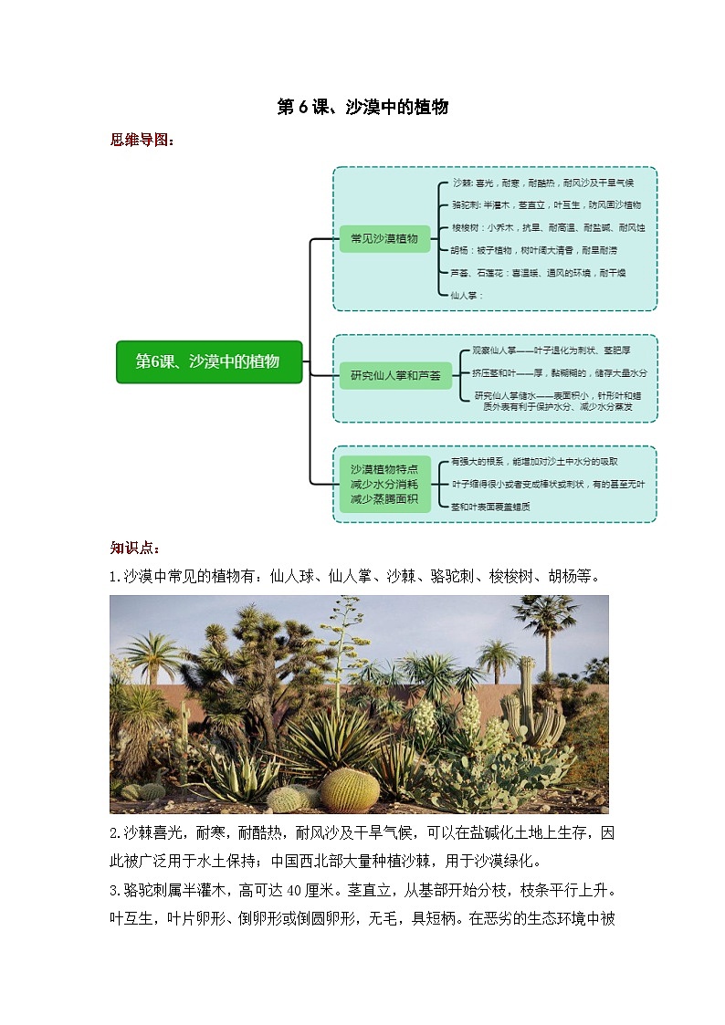 【期末复习】第二单元植物与环境——三年级下册科学单元知识点总结（苏教版）03