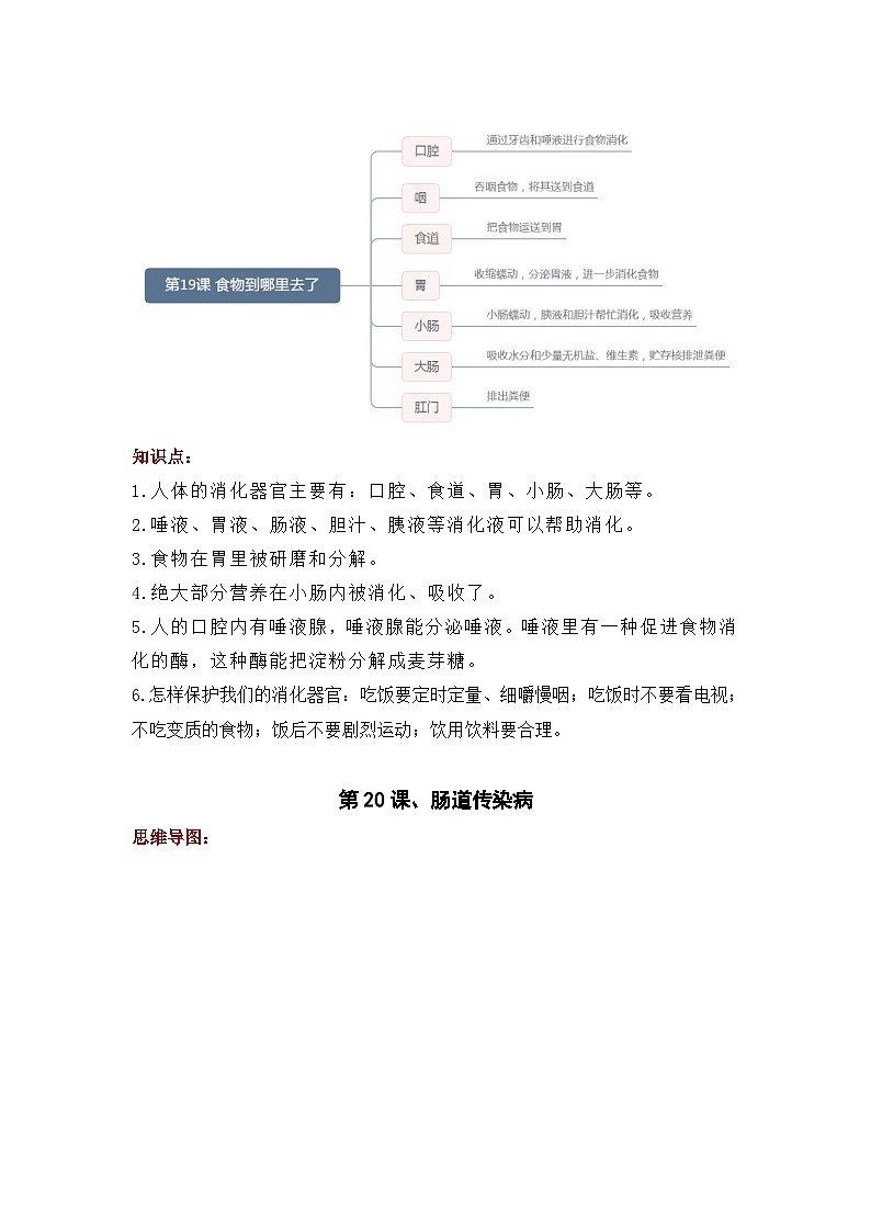 【期末复习】第六单元 消化与呼吸——三年级下册科学单元知识点总结（青岛版）02