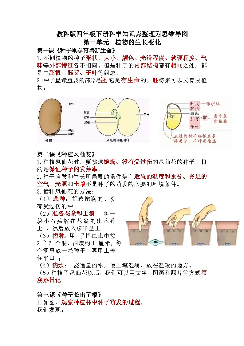 【期末复习】第一单元 植物的生长变化——教科版四年级下册科学单元知识点总结+思维导图01