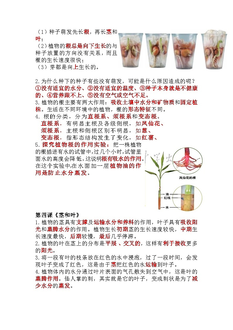 【期末复习】第一单元 植物的生长变化——教科版四年级下册科学单元知识点总结+思维导图02