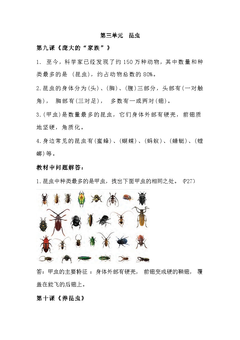 【期末复习】第三单元  昆虫——四年级下册科学单元知识点总结（苏教版）01