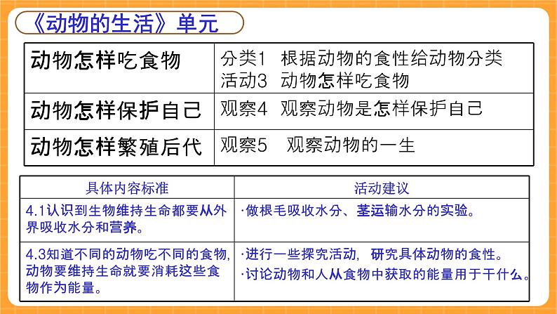 《0.科学观察实验报告册》课件06