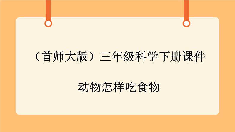 《9.动物怎样吃食物》教案+课件01